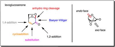 Levoglucosenone: Bio-Based Platform for Drug Discovery